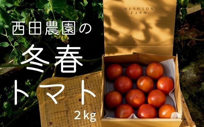 
            大崎上島産 西田農園の冬春 トマト 約2kg（10〜15個程度）とまと 野菜 瀬戸内 広島 大崎上島 国産 9000円
          