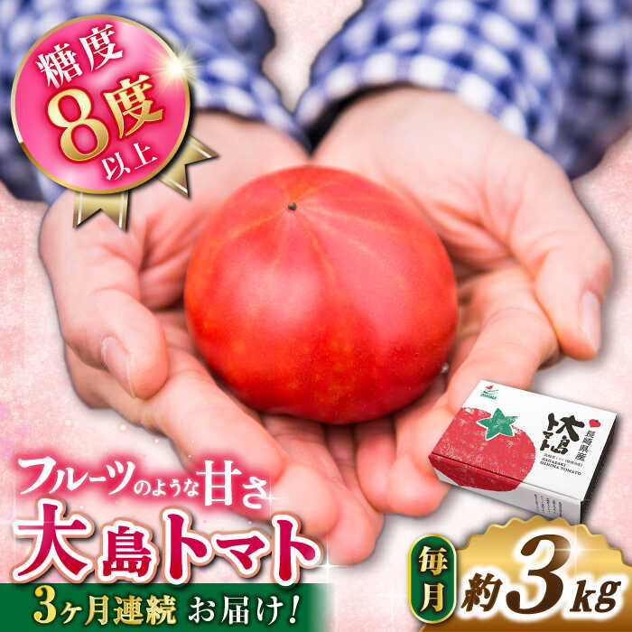 【ふるさと納税】【2026年2月より発送開始】【3回定期便】 大島トマト Silver 計3kg＜大島造船所農産G＞ [CCK006] 長崎 西海 とまと トマト フルーツトマト 野菜 人気 贈答 ギフト プレゼント 高糖度