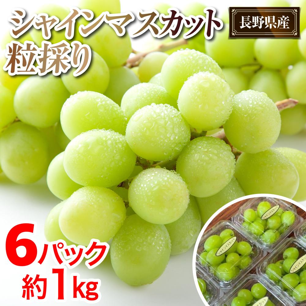 【先行予約】A 2026 P シャインマスカット粒どり6パック 約1kg弱（2026年10月初旬頃～順次発送）長野県産  国際特許有機肥料栽培