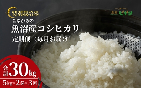 令和7年産 昔ながらの魚沼産コシヒカリ 従来品種 定期便 30kg（5kg×2袋×毎月全3回）農園ビギン/定期便 定期便 定期便 定期便