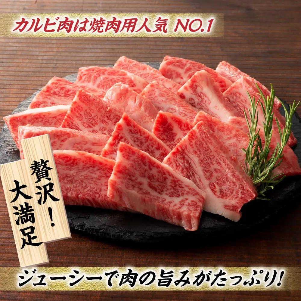 【12回定期便】藤彩牛 くまもと黒毛和牛 バラ カルビ 焼肉用 1650 [ZDT083]
