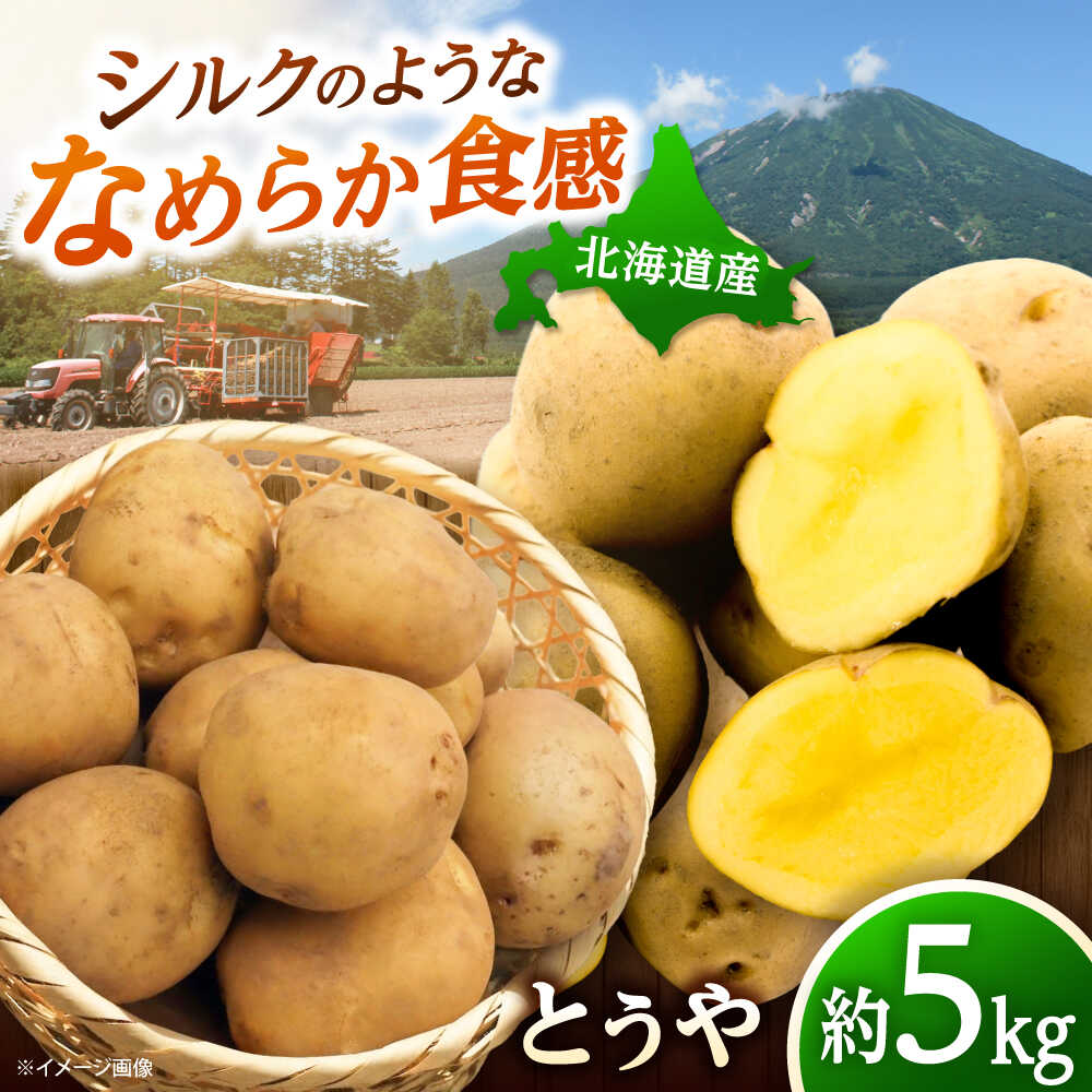 【ふるさと納税】【2026年10月上旬以降順次発送】じゃがいも とうや 5kg | じゃがいも とうや 野菜 やさい 北海道 産地直送 先行予約 | 道の駅 真狩フラワーセンター[BPAM017]
