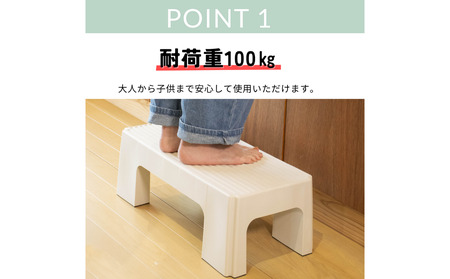 ステップスツールL モカアイボリー 2個セット スツール ステップ 高所作業 踏み台 イス グリーンパル