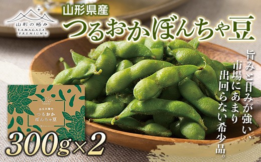 
                  ≪2027年先行予約≫【山形の極み】贈答用 山形県産 治五左衛門農園 つるおか ぼんちゃ豆 600g（300g×2袋） 2027年7月中旬から順次発送 F2Y-5881
                