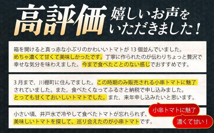 【先行受付】小串トマト 約1kg（8個〜13個程度）【グリーン東彼新鮮市場】[OAE001] / 小串トマト とまと 濃厚トマト 人気とまと 川棚トマト 野菜 サラダ 健康野菜 ビタミン  日本一の称