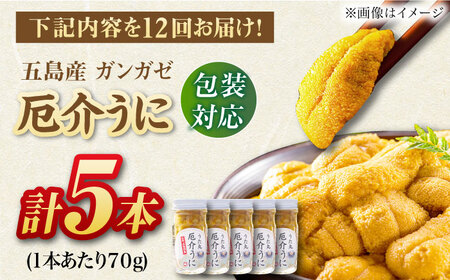 【全12回定期便】厄介うに ガンガゼの塩うに 70g×5本 / ウニ 雲丹 五島市 / うた丸[PGA008]