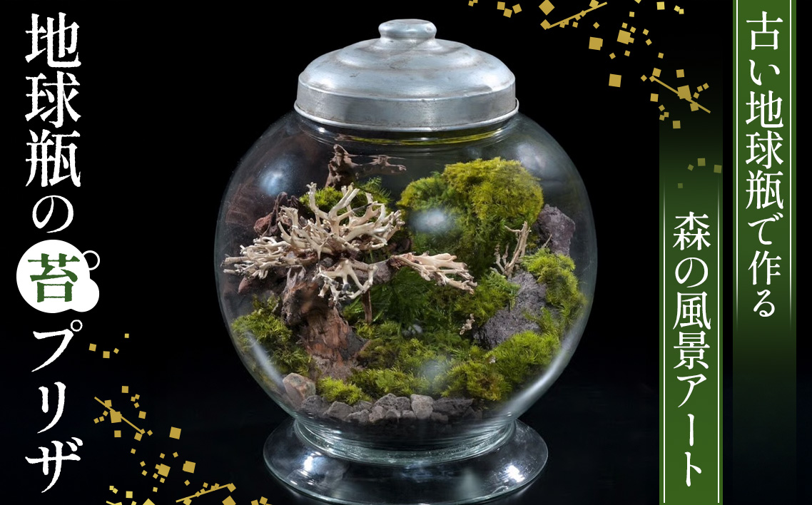 地球瓶の苔プリザ No.357