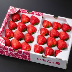 とちあいか(24～30粒入り)【配送不可地域：離島・北海道・沖縄県・中国・四国・九州】【1711548】