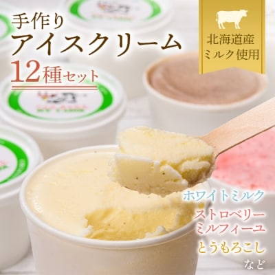 北海道産 南幌町 手作りアイスクリームセット 120ml×12個(おまかせ詰め合わせ) スイーツ