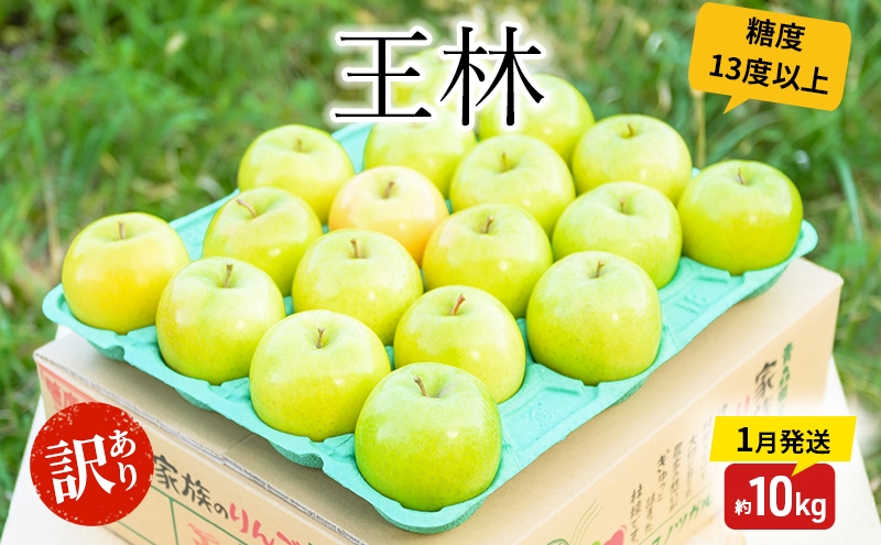 
                  りんご 【1月発送】 糖度13度以上 訳あり品 家庭用 王林 約 10kg 【 青森りんご  果物 フルーツ デザート 食後 青森県産 産地直送  】
                