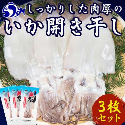 ふるさと納税 羅臼町 【2025年2月上旬発送】北海道羅臼町 大人気!北海道知床羅臼産いかの開き干し(3枚セット) | 
