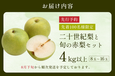 【2026・先行予約】二十世紀梨と旬の赤梨セット 4kg｜鳥取 果物 フルーツ なし 梨 品種はおまかせ 2026年収穫後【41039】