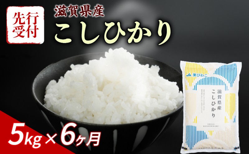 
                  【令和8年産】 先行予約 新米 こしひかり 5kg 6回定期便 令和8年産 定期便 米 精米 こめ コメ お米 ご飯 米 コシヒカリ 米定期便 6か月定期便 6ヶ月定期便 6回 6ヶ月 6か月 滋賀 彦根
                