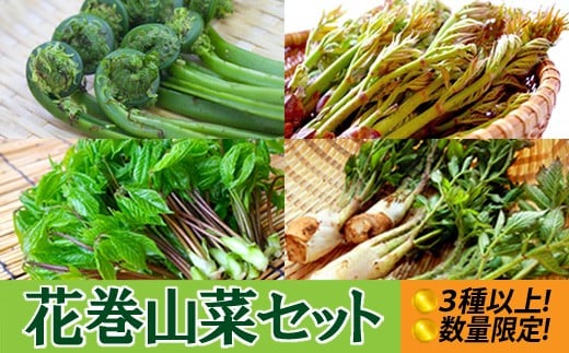 花巻の旬の山菜集めました！花巻山菜１㎏セット　＜３種以上詰合せ＞ 【411】