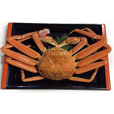 ふるさと納税 北栄町 タグ付き鳥取県産ボイル松葉ガニと活松葉ガニの欲張りセット　特大サイズ(900g〜1kg)
