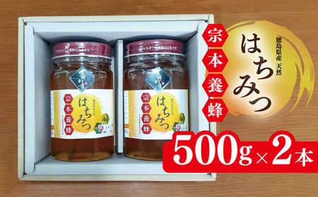 はちみつ 化粧箱入 500g×2本 はちみつ はちみつ はちみつ はちみつ はちみつ はちみつ 