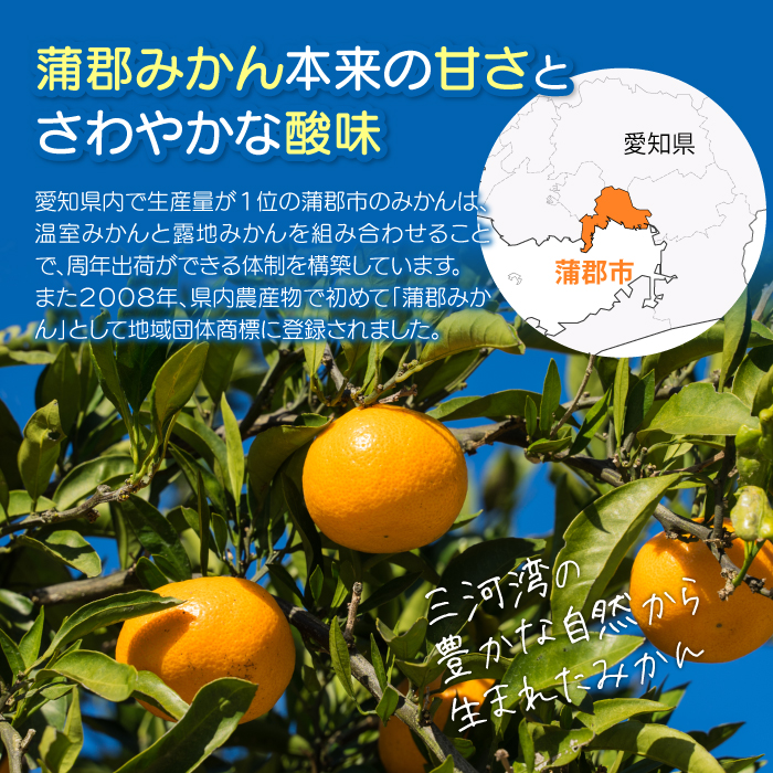 【数量限定】蒲郡みかんジュース（ストレート果汁100％みかんジュース）_【G0625】