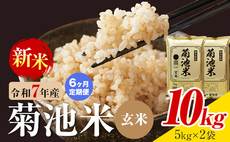 【6ヶ月定期便】熊本県産 菊池米 玄米 10kg 1袋5kg 米 お米 令和7年産 九州産 熊本県産 送料無料《お申込み翌月に出荷予定》玄米 米
