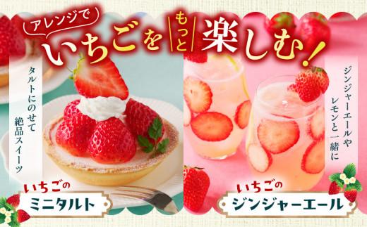 ケーキ用 さぬきひめいちご 4トレー(各約280g)【2025年1月上旬～2025年4月下旬配送】