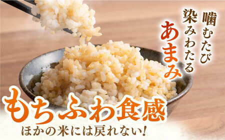 ももちゃんちのお米 夢しずく 玄米 5kg【ももさき農産】[HCG019]