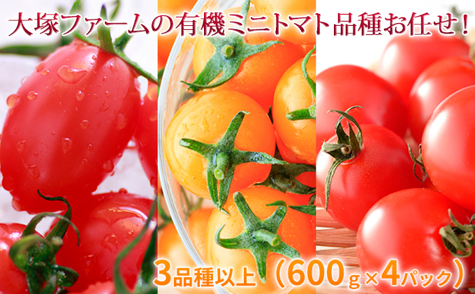 大塚ファームの 有機 ミニトマト 3品種以上（600g×4P）北海