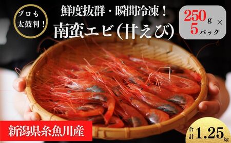 南蛮エビ 日本海直送鮮度抜群！糸魚川産『甘エビ』 250g×5 際立つ甘さと鮮やかさ  甘くとろける格別の味 【プロも太鼓判！】