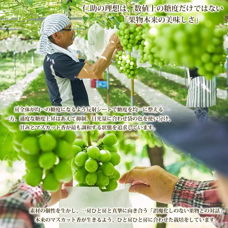 山形市産 シャインマスカット秀3.2kg以上(4房)【前半】  FZ21-207