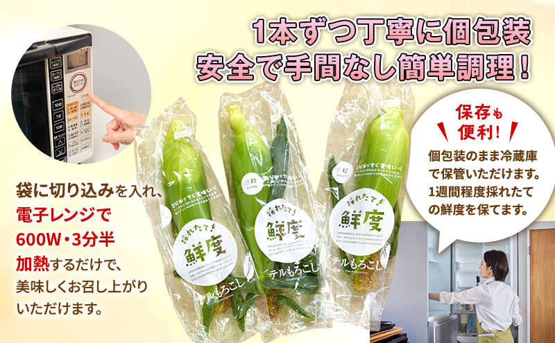 とうもろこし 先行予約 甘々娘 または 甘太郎 約8～12本 春のテルもろこし 個包装 レンジ調理 レンチン 野菜 夏 旬 冷蔵 冷蔵配送 静岡 静岡県 浜松市 6月下旬頃より順次発送 配送不可：離島