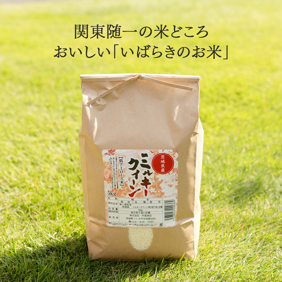 令和7年産 茨城県産 精米 ミルキークイーン 5kg （5kg×1袋） 白米 米 コメ こめ 単一米 限定 茨城県産 国産 美味しい お米 おこめ おコメ[EH38-NT]_イメージ2