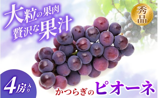 ◆先行予約◆ 和歌山県産 ピオーネ 4房入り〈秀品〉 【2025年8月下旬～9月上旬発送予定】 【MG25】
