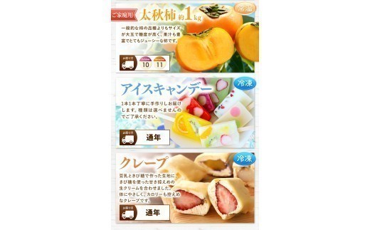 【 定期便 11回 】 プチっと 堪能 ！家庭用 フルーツ定期便 | 果物 フルーツ 高評価 いちご みかん 不知火 スイカ ぶどう 梨 柿 アイス クレープ 2回 ～ 12回 1年 お試し 旬 採れたて 熊本県 玉名市
