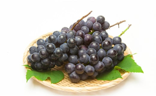 08-06-015　ぶどう(種なしピオーネ)約1.2kg