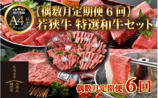 
【偶数月定期便6回コース】若狭牛 特選和牛セット ／ 国産 牛肉 焼肉 モモブロック ステーキ しゃぶしゃぶ すき焼き ブランド牛 贅沢 A4 A5 ギフト
