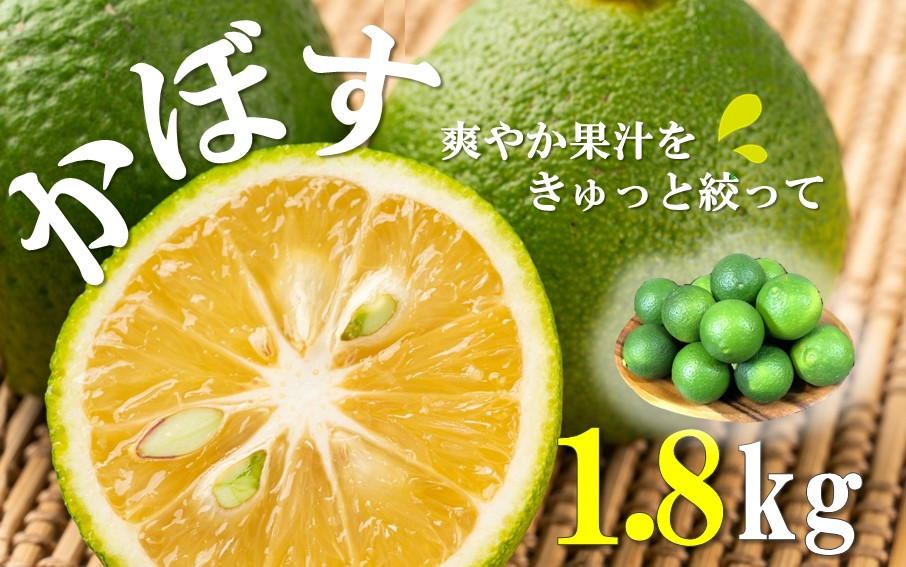 
            【先行予約】素材を活かす名脇役 大分県産かぼす1.8kg_2254R
          