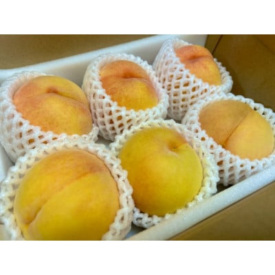 【先行受付 2027年発送】山梨市産　黄金桃　約2kg(5～8玉)【配送不可地域：離島】