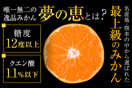 夢の恵 みかん 約2.5kg(20玉～30玉前後) 熊本県産 （荒尾市産含む） 糖度12度以上 ブランドみかん ブランド 贈答用 贈り物《11月中旬-12月下旬頃出荷》 熊本県 荒尾市