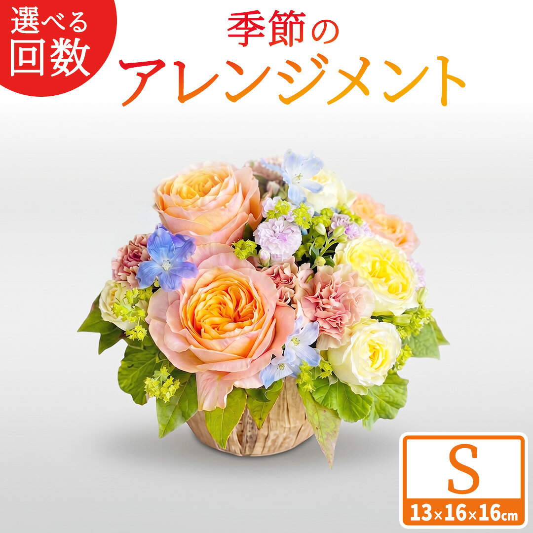 【ふるさと納税】【 選べる お届け 回数 】季節 の フラワー アレンジメント ＜ S ＞ 花 お花 季節の花 生花 3ヵ月 6ヶ月 12ヶ月 定期便　記念日 誕生日 自宅用 インテリア 部屋飾り 装飾 贈答 ギフトプレゼント おしゃれ 茨城県 城里町