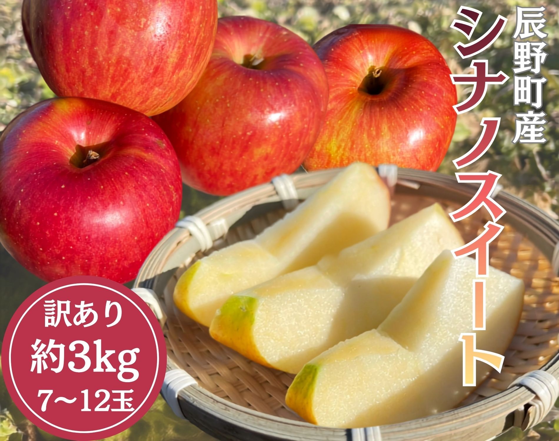 
                  387  ※訳あり りんご シナノスイート 約3㎏ 【野澤フルーツ農園】10月中旬以降発送
                