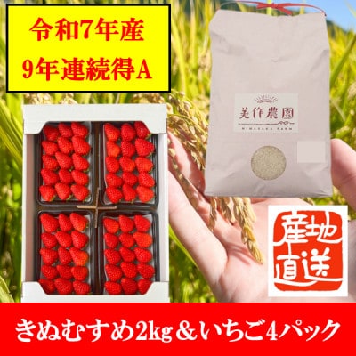 【令和7年産】精米　きぬむすめ2kg＆いちご詰合せ(約280g×4パック)【配送不可地域：離島・北海道・沖縄県】