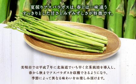 【先行予約】【夏アスパラ】美唄産グリーンアスパラガス雪蔵美人 Lサイズ 1kg （2024年7月中旬発送予定）｜ アスパラ