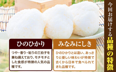 米 令和5年産 米 ひのひかり みなみにしき 食べ比べセット 1.8kg 各900g 白米 熊本県 荒尾市産 米 白米 食べ比べ 小分け つゆくさ農園 米 食べ比べ ヒノヒカリ ミナミニシキ 国産 産