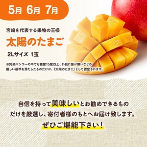 【3ヶ月定期便】【宮崎県産】選ばれし太陽のたまご定期便Vol.1 果物 マンゴー