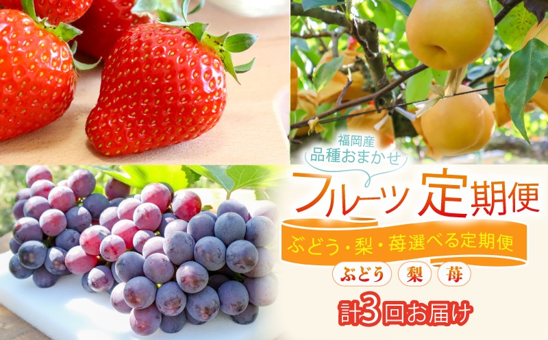 
                  フルーツ 定期便 2-3回 ( あまおう ぶどう 梨 ) 苺 あまおう 約560g ぶどう 2kg 梨 5kg 選べる回数 福岡県産 あまおう 葡萄 巨峰 梨 豊水 なし 果物 定期便 予約販売 予約受付 数量限定 福岡県 川崎町
                