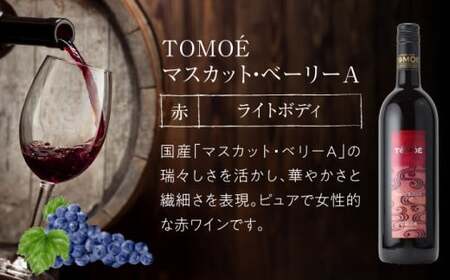 広島牛 肩ロース 600g と TOMOE赤ワイン の贅沢セットB ワイン 受賞 飲み比べ ワインセット ギフト 三次市 / 広島三次ワイナリー[APAZ038]
