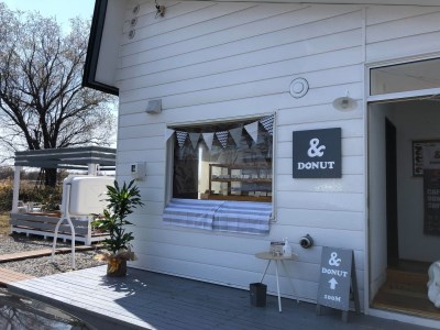 (20001095)ドーナツ 12種セット &DONUT(アンドドーナツ)