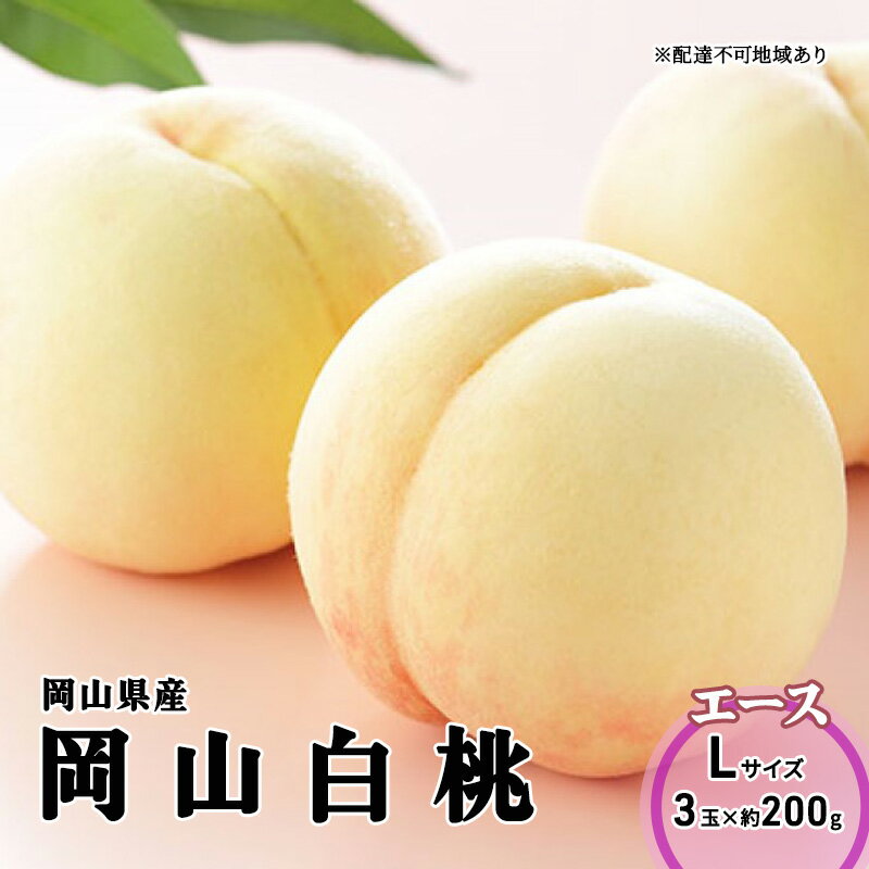 【ふるさと納税】桃 2026年 先行予約 岡山 白桃 エース 3玉×200g（Lサイズ） 岡山県産 JAおかやまのもも モモ 岡山県産 国産 フルーツ 果物 ギフト 　お届け：2026年7月上旬～2026年8月下旬