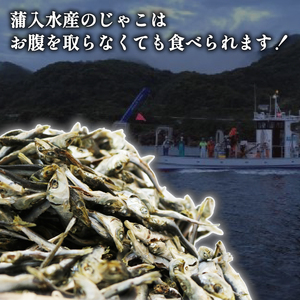 【良質なだし】 無添加煮干し 1.5kg (500g×3袋) 煮干し