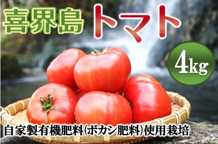 【2027年１月から発送開始】『喜界島トマト』自家製有機肥料(ボカシ肥料)使用栽培　４kg
