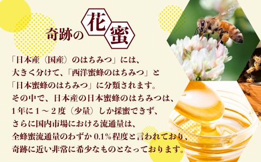 はちみつ 奥久慈の花蜜 200g | ハチミツ 蜂蜜 花蜜 日本みつばち 蜜蜂 国産 ジャム パン ティータイム ヨーグルト チーズ パンケーキ 高級 ギフト 茨城県 常陸太田市
