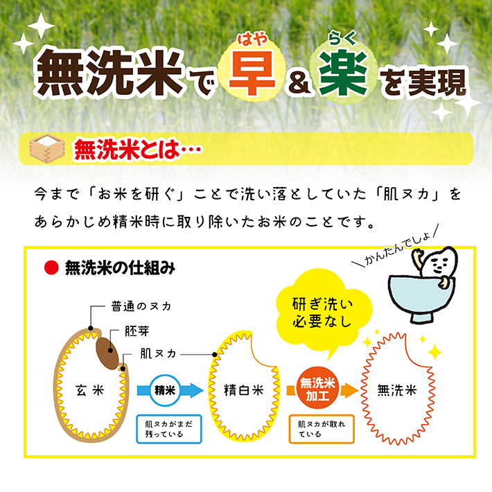 SF0252　【隔月3回定期便】無洗米はえぬき　5kg×3回(計15kg)　農家直送『いいあん米』AG